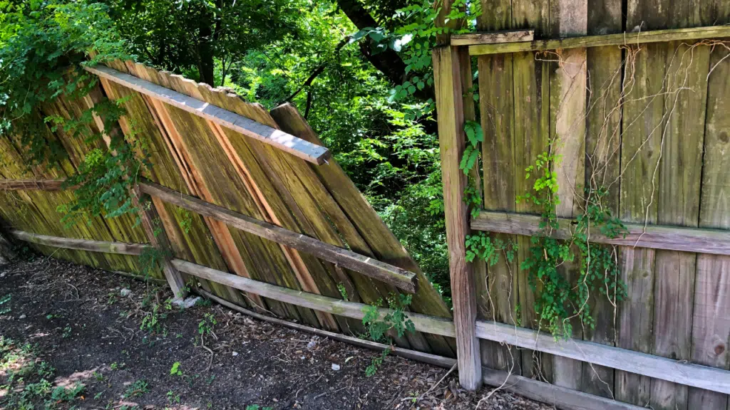 Fence removal and disposal service – Pro Hauling crew safely dismantling and hauling away an old wooden fence.
