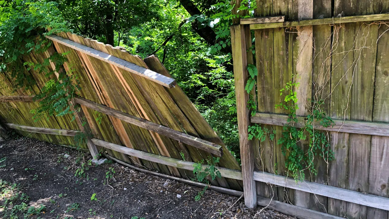 Fence removal and disposal service – Pro Hauling crew safely dismantling and hauling away an old wooden fence.